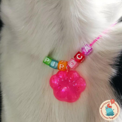 Colar Pet Personalizado - Image 3