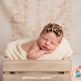 Laço Oncinha Pelúcido - P